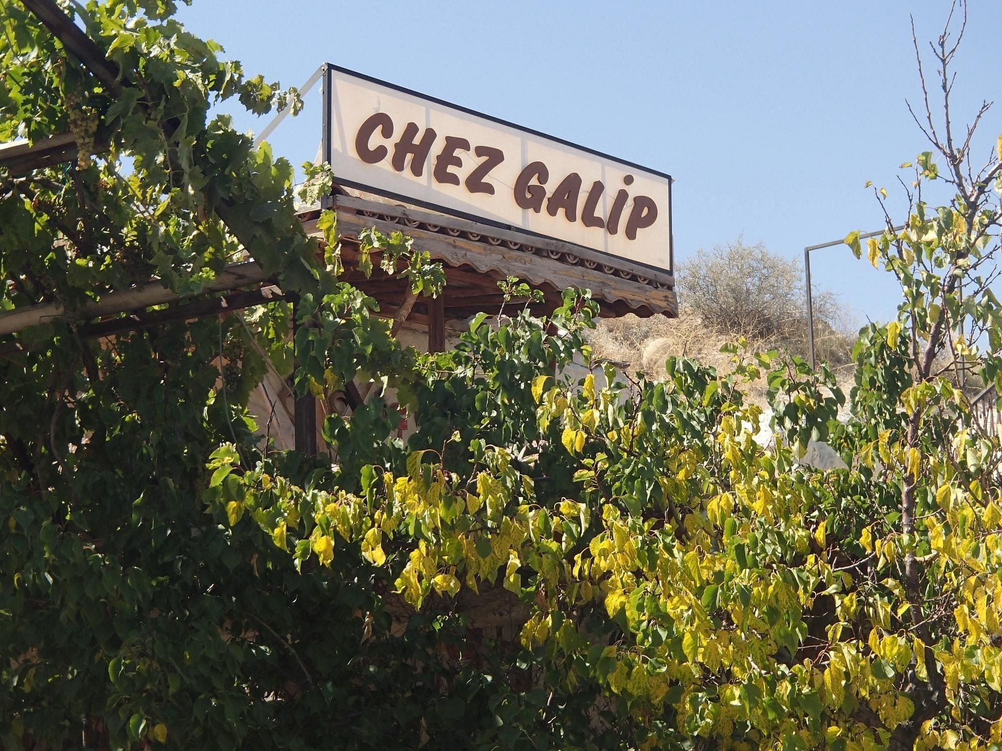 Chez Galip