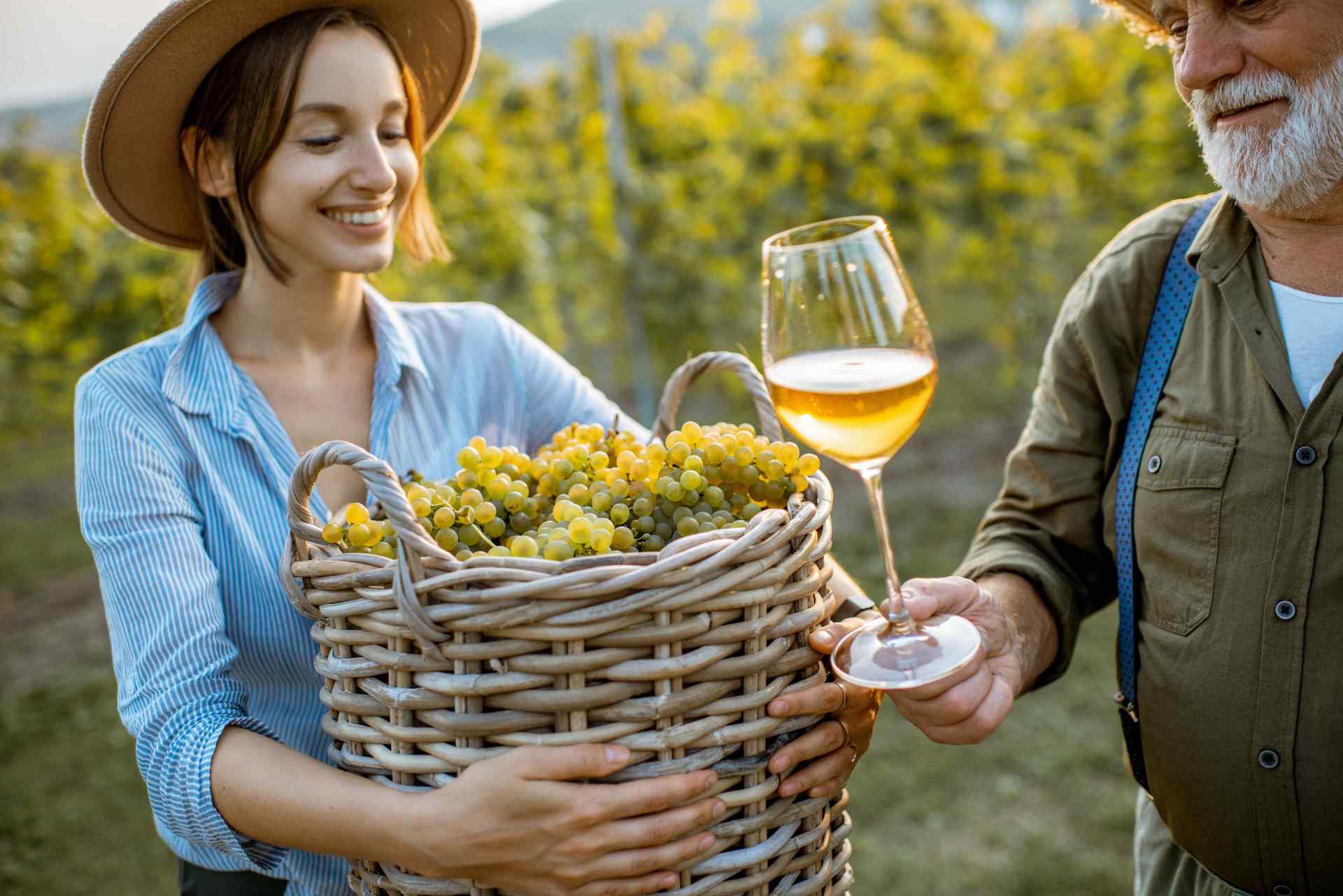 Urgup Wine Tasting: Best Vineyards & Wineries 2026