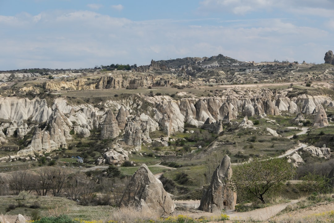 Eco-Friendly Accommodation Options