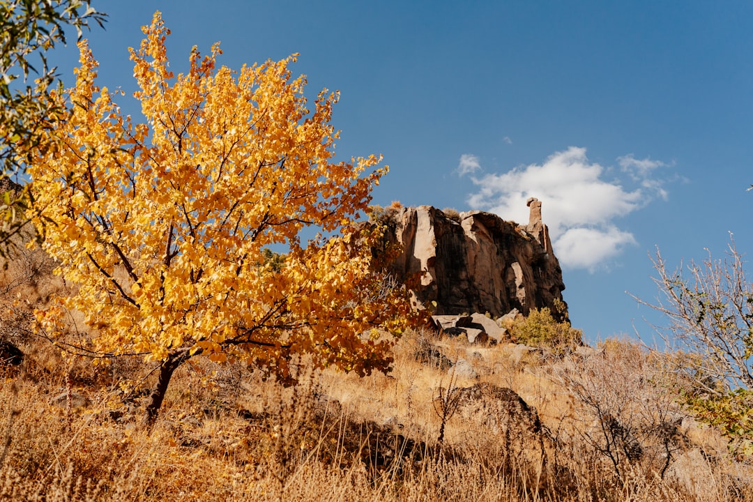 Ihlara Valley Hiking Guide: 14km Canyon Walk