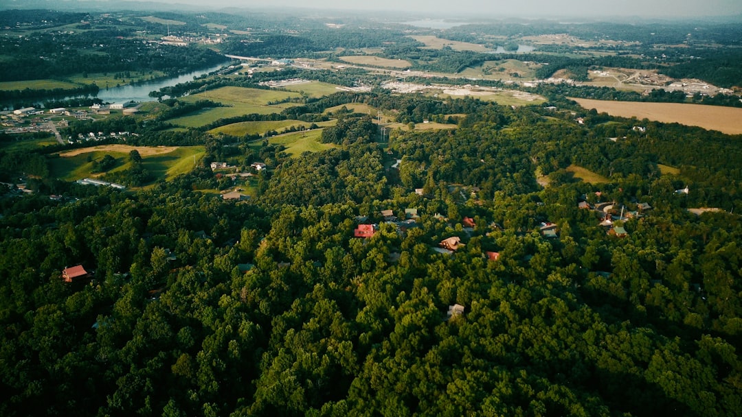 Pigeon Valley Overlook: Morning Light