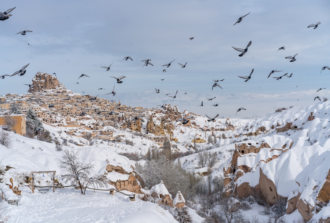 Pigeon Valley Walk: Easy Hiking Route Guide