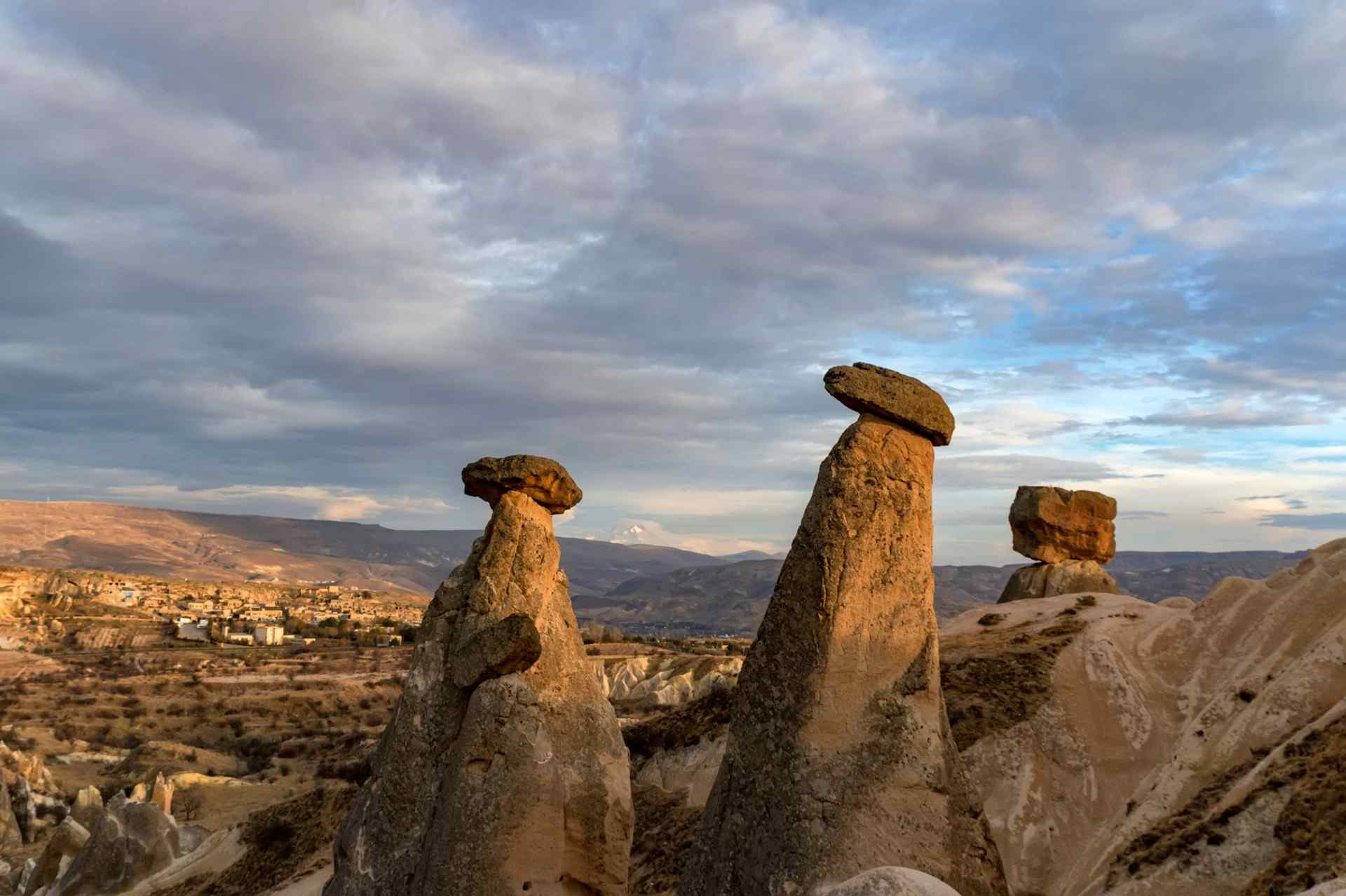 Fairy Chimney Wildlife: Plants & Animals of Cappadocia