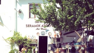 green tree near white concrete building during daytime