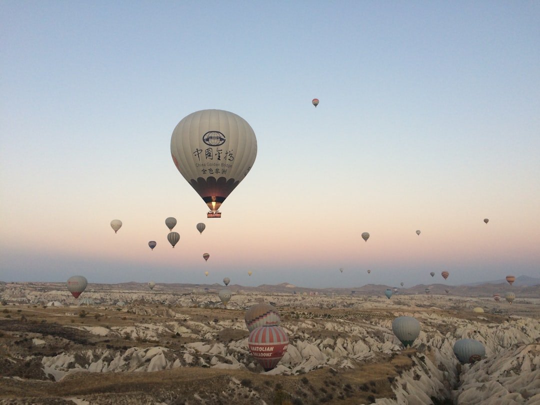 hot air balloon lot on mid air at daytime