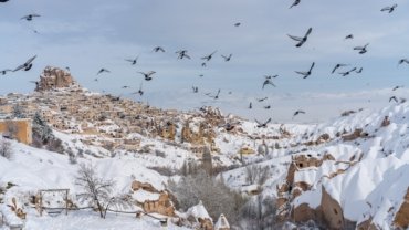a flock of birds flying over a snow covered mountain